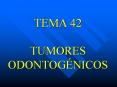 TEMA 42 TUMORES ODONTOG NICOS Tumores Odontog nicos Definic