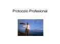 Protocolo Profesional Ejercicio Escriba qu  entiende por lo