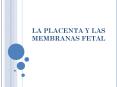LA PLACENTA Y LAS MEMBRANAS FETAL Las vitaminas cruzan l
