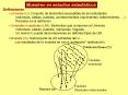 Muestreo en estudios estad sticos Definiciones: Univers