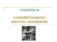CHAPTER 14 UNDERSTANDING MENTAL DISORDERS Chapter Overvie