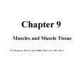 Chapter 9 Muscles and Muscle Tissue J.F. Thompson, Ph.D. 