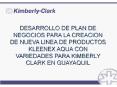 desarrollo de plan de negocios para la creacion de nuev