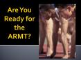 ARMT Item Specificatios * ARMT Item Specificatios * ARM