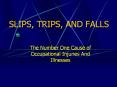SLIPS, TRIPS, AND FALLS The Number One Cause of Occupationa