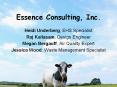 Essence Consulting, Inc. Heidi Underberg, EHS Specialist Ra