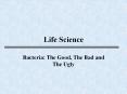 Life Science Bacteria: The Good, The Bad and The Ugly Brie