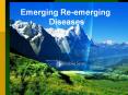 Emerging Re-emerging Diseases. Response of the WH