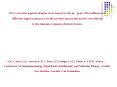 DNA vaccines against dengue virus based on the ns1 gene: Th