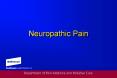 Neuropathic Pain Pain Pathophysiology Nociceptive pai
