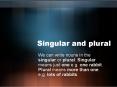Singular and plural We can write nouns in the singular o