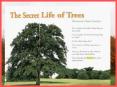 Discover - find out; learn for the first time Say the words