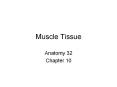 Muscle Tissue Anatomy 32 Chapter 10 III. Cardiac muscle