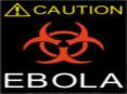 Scientific Name: Ebola Virus Filoviridae family 4 strains 