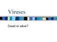 Process or reproduction = lytic cycle Lytic Cycle Viru