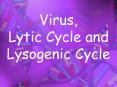 Virus, Lytic Cycle and Lysogenic Cycle * * Viral Latenc