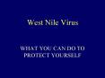 West Nile Virus WHAT YOU CAN DO TO PROTECT YOURSELF What I