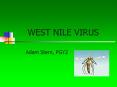 WEST NILE VIRUS Adam Stern, PGY2 West Nile - Epidemiolog