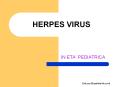 HERPES VIRUS IN ETA  PEDIATRICA HERPES VIRUS Virus a DN