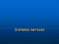 Sistema nervoso Anatomia e fisiologia del sistema nervos