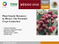 Plant Genetic Resources in Mexico: The Perennial Crop