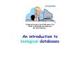 biological databases Database or databank ? At th