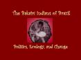 The Bakair  Indians of Brazil Politics, Ecology, and Chang