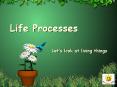 Life Processes Let s look at living things Living Thing