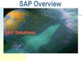 An overview of SAP. This presentation was part Solution