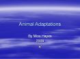 Animal Adaptations By Miss Hayes 2009 Adaptations, Habitats