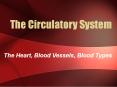 The Heart, Blood Vessels, Blood Types The Closed Circulator