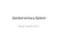Genital-Urinary System Renal System Part 1 * Renal Clearanc