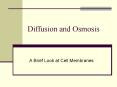 Diffusion and Osmosis A Brief Look at Cell Membranes What i