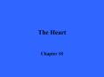 The Heart Chapter 18 Introduction The heart is the pump o