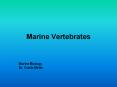 Marine Vertebrates Marine Biology Dr. Ouida Meie