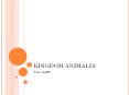 KINGDOM ANIMALIA Fun stuff!! CHORDATA Deuterosome coelomate