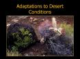 Adaptations to Desert Conditions Adaptations to Deser
