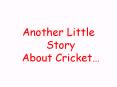 Another Little Story About Cricket  This is Andrew Flintoff