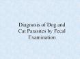 Diagnosis of Dog and Cat Parasites by Fecal Examinatio
