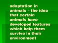 adaptation in animals   the idea that certain animals hav