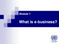 Module 1 What is e-business? E-business and e-commerc