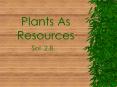 We eat the stems, roots, leaves, flowers, and seeds of 