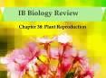 IB Biology Review Chapter 38: Plant Reproduction Parts of 