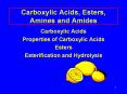 Carboxylic Acids, Esters, Amines and Amides Carboxylic Acid