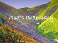 God s Pharmacy It's been said that God first separated th