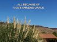 ALL BECAUSE OF GOD S AMAZING GRACE Amazing Grace -- O ho