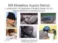 NH Homeless Access Survey Coordinated by NH Department o