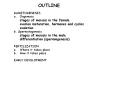 OUTLINE GAMETOGENESIS Oogenesis stages of meiosis in th