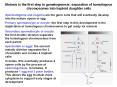 Meiosis is the first step in gametogenesis: separation o