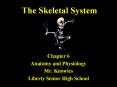 The Skeletal System Chapter 6 Anatomy and Physiology Mr